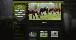 Desktop Screenshot of cedarspringranch-h-c-co.com